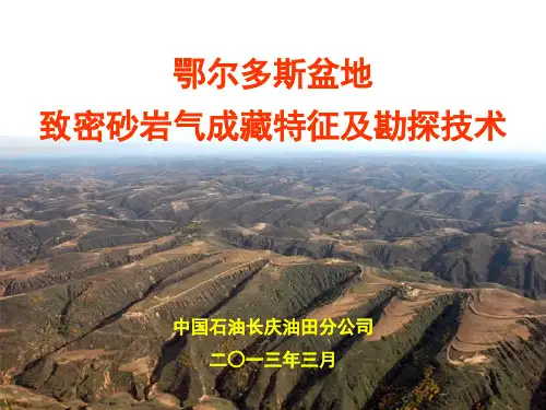 鄂尔多斯盆地致密砂岩气勘探技术