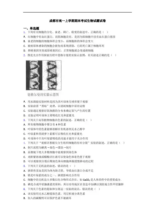 成都市高一上学期期末考试生物试题试卷