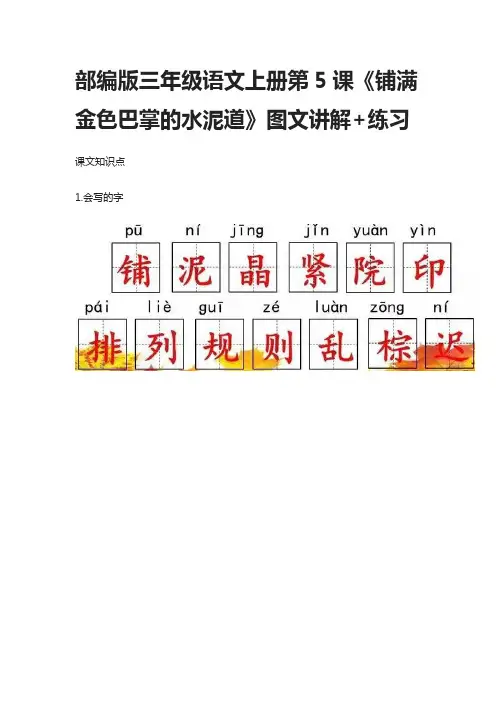 [精]部编版三年级语文上册第5课《铺满金色巴掌的水泥道》图文讲解+练习