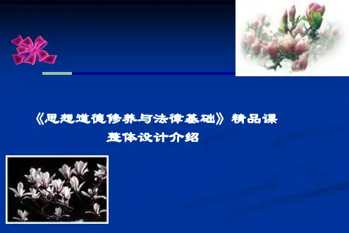 思想道德修养与法律基础课程整体设计介绍