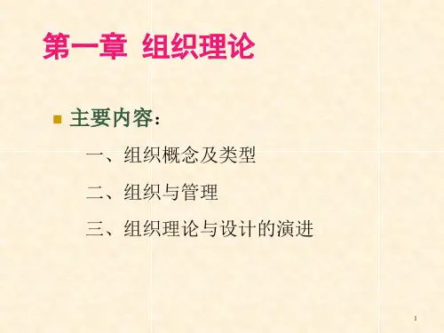 组织设计 组织理论(1-10)ppt课件