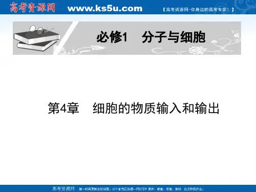 2011届生物高考一轮复习课件：必修1 第4章 第1-2节 细胞的物质输入和输出
