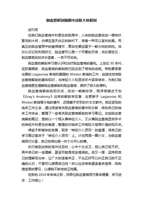 脑血管解剖脑膜中动脉大体解剖