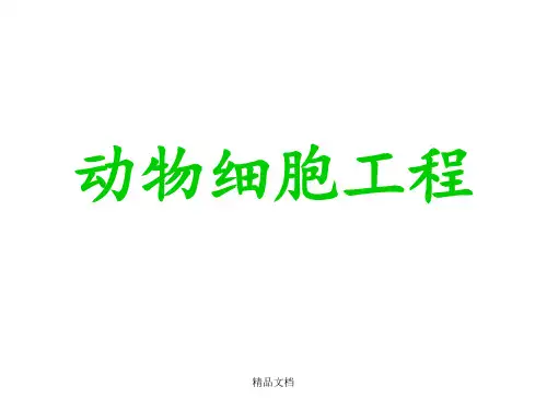 动物细胞工程(