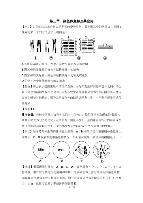 苏教版高一生物必修2(遗传与进化)_《染色体变异及其应用》典题例析