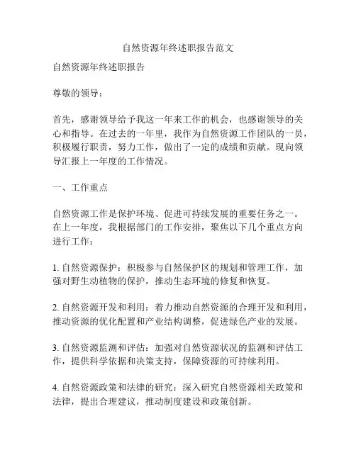 自然资源年终述职报告范文