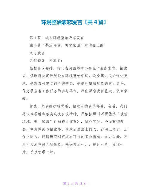 环境整治表态发言(共4篇)