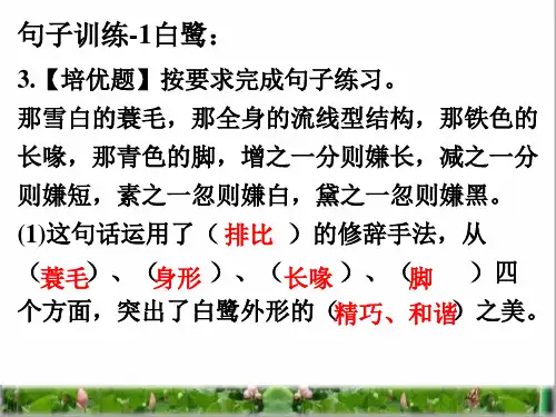 部编版四年级语文上册句子训练ppt课件.pptx