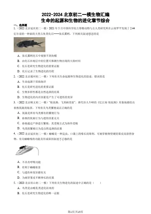 2022-2024北京八年级一模生物汇编：生命的起源和生物的进化章节综合