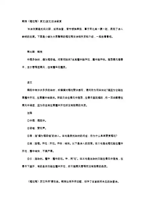 唐诗赏析-鲍照《梅花落》原文译文古诗鉴赏