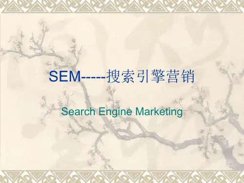 SEM-----搜索引擎营销