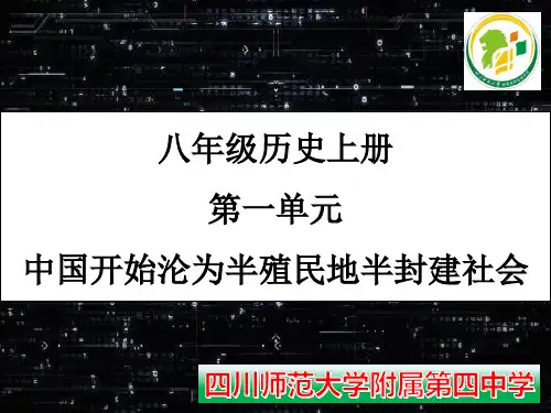 人教版部编八年级上册 中国开始沦为半殖民地半封建社会(共17张PPT)