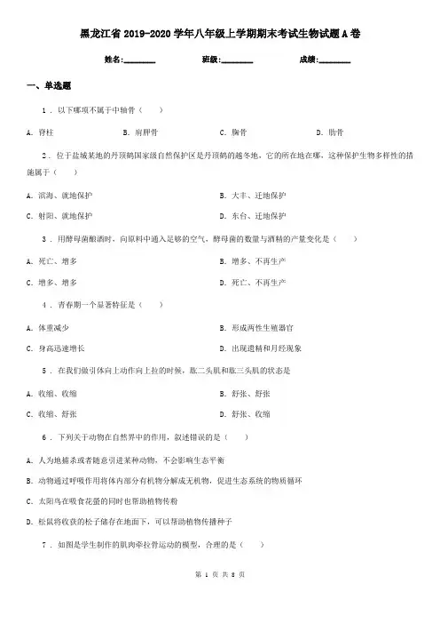 黑龙江省2019-2020学年八年级上学期期末考试生物试题A卷
