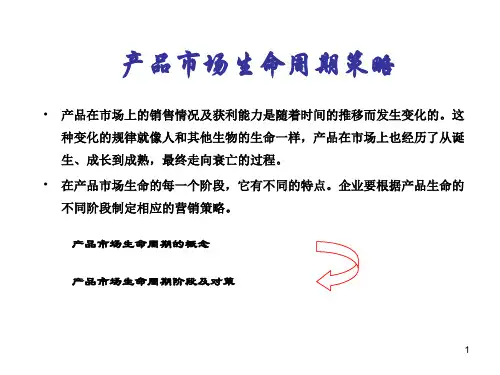 产品生命周期PPT演示课件