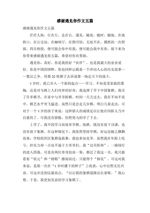感谢遇见你作文五篇