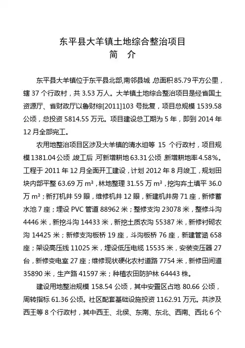 东平县大羊镇土地综合整治项目简介1111