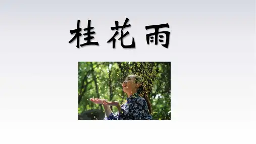 统编版五年级语文上册3《桂花雨》课件(共23张PPT)(2)