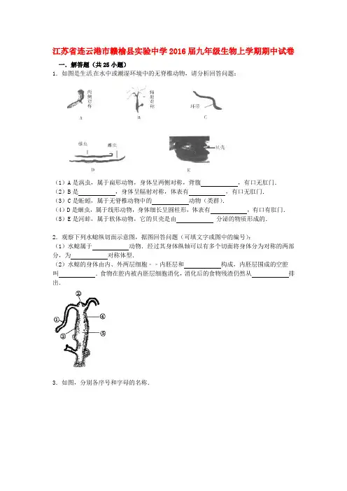 江苏省连云港市赣榆县实验中学2016届九年级生物上学期期中试卷(含答案解析)