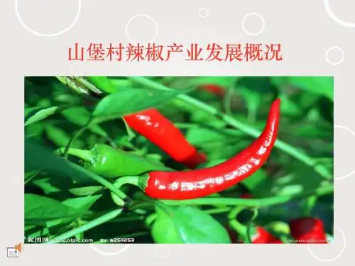 山堡村辣椒产业发展概况ppt