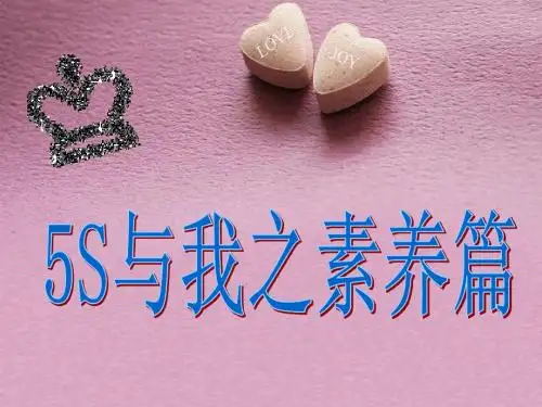5s 素养