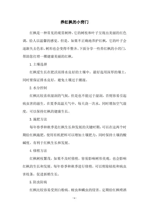 养红枫的小窍门