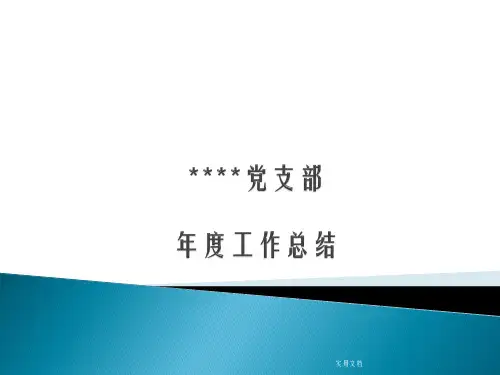 企业党支部工作总结PPT