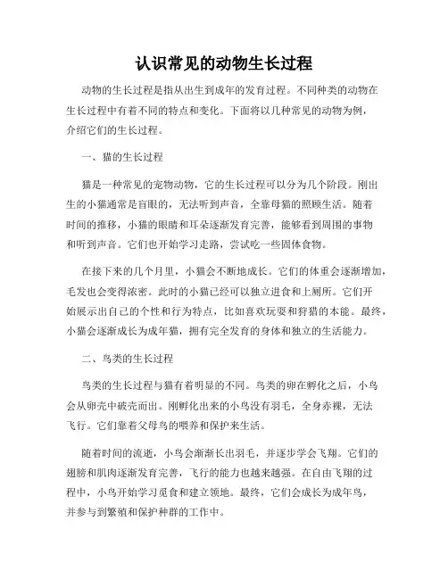 认识常见的动物生长过程