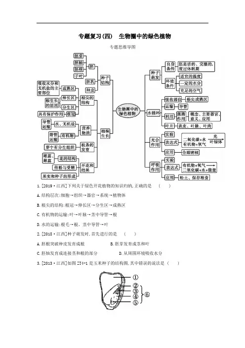 2020年中考生物专题复习：四生物圈中的绿色植物