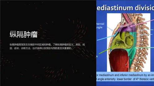 (医学课件)纵隔肿瘤