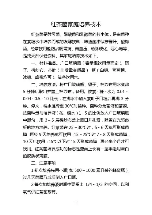 红茶菌家庭培养技术