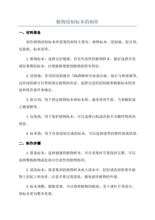 植物浸制标本的制作