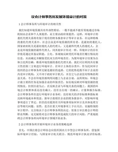 议会计师事务所发展环境审计的对策