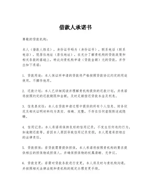 借款人承诺书