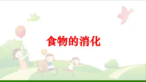 三年级上册科学食物的消化鄂教版