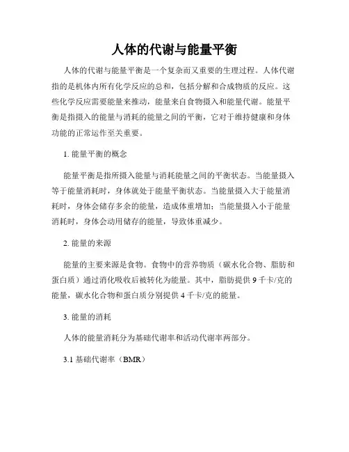 人体的代谢与能量平衡