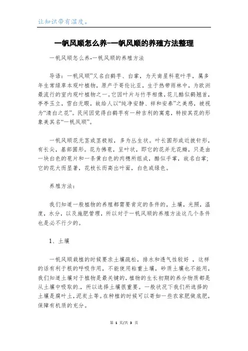 一帆风顺怎么养-一帆风顺的养殖方法整理