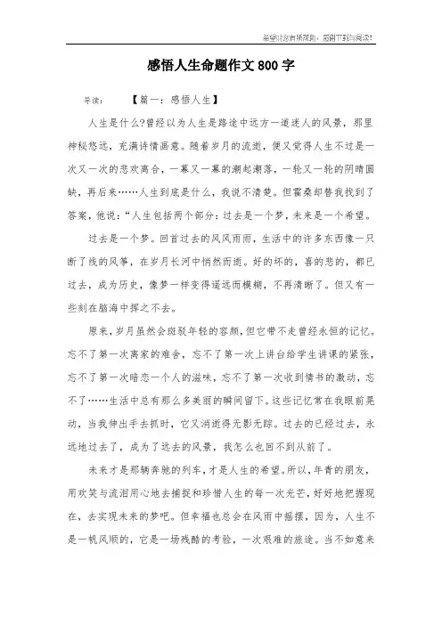 感悟人生命题作文800字