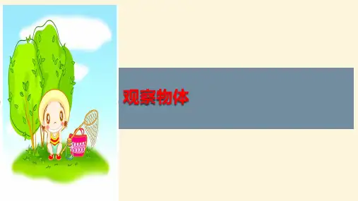 北师大版数学六年级上册 第三单元 观察物体 课件(共46张)