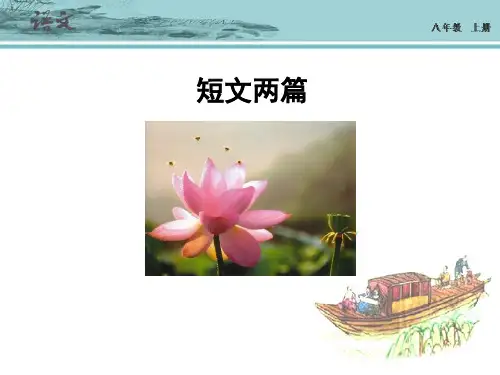 人教版语文八年级上册第22短文两篇