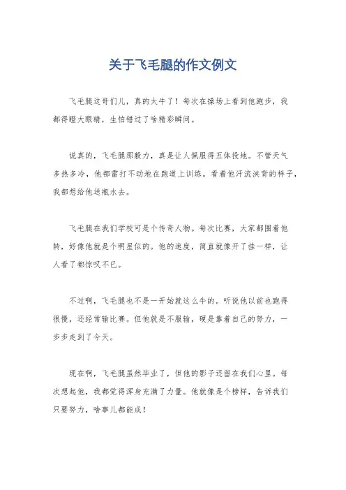 关于飞毛腿的作文例文
