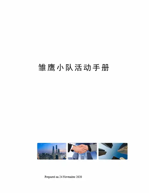 雏鹰小队活动手册