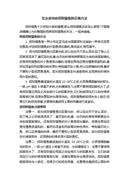 怎么养饲养招财猫鱼的正确方法