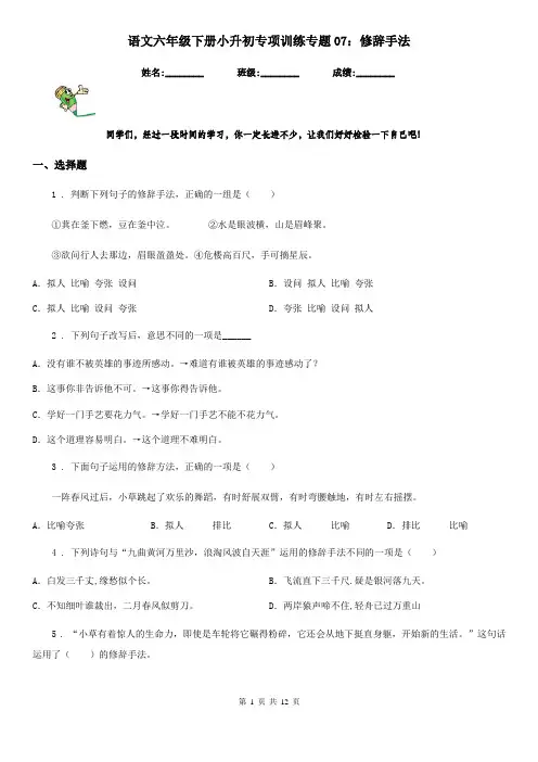 语文六年级下册小升初专项训练专题07：修辞手法