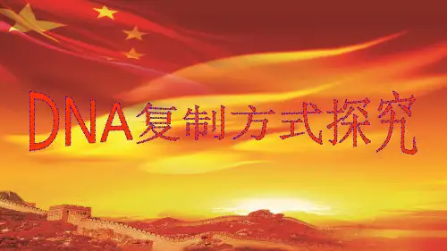 DNA复制方式探究
