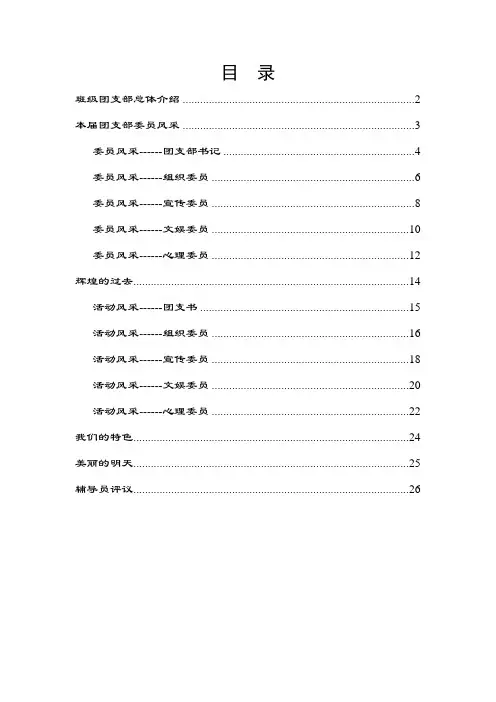 班级团支部总体介绍