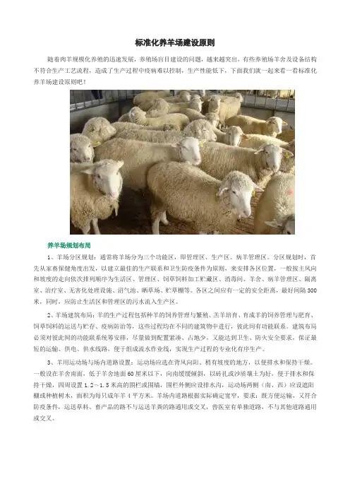 标准化养羊场建设原则