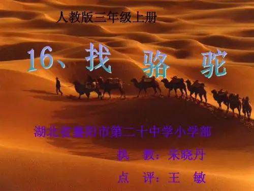 《找骆驼》教学课件