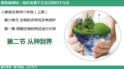 6.1.2从种到界-八年级生物上学期课件(人教版)