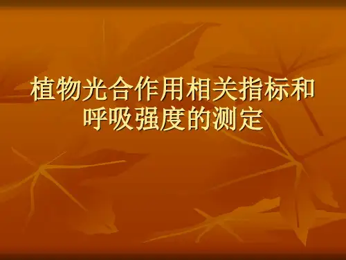 实验  植物光合作用相关指标和呼吸强度的测定