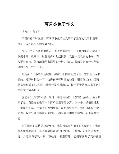两只小兔子作文